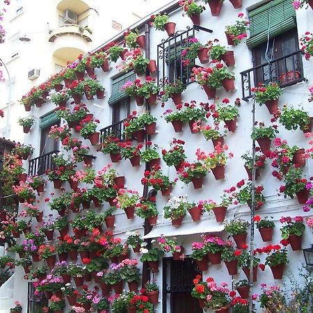 Apartaluz Centro Córdoba Arqueologico Balcon Exterior foto