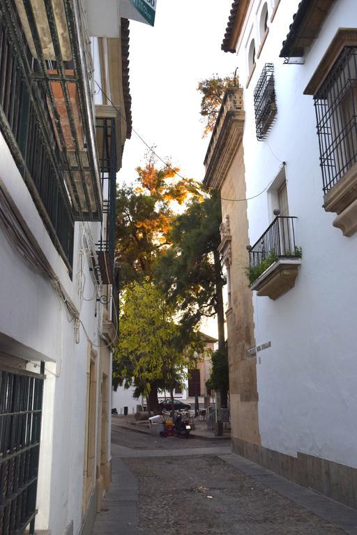 Apartaluz Centro Córdoba Arqueologico Balcon Habitación foto