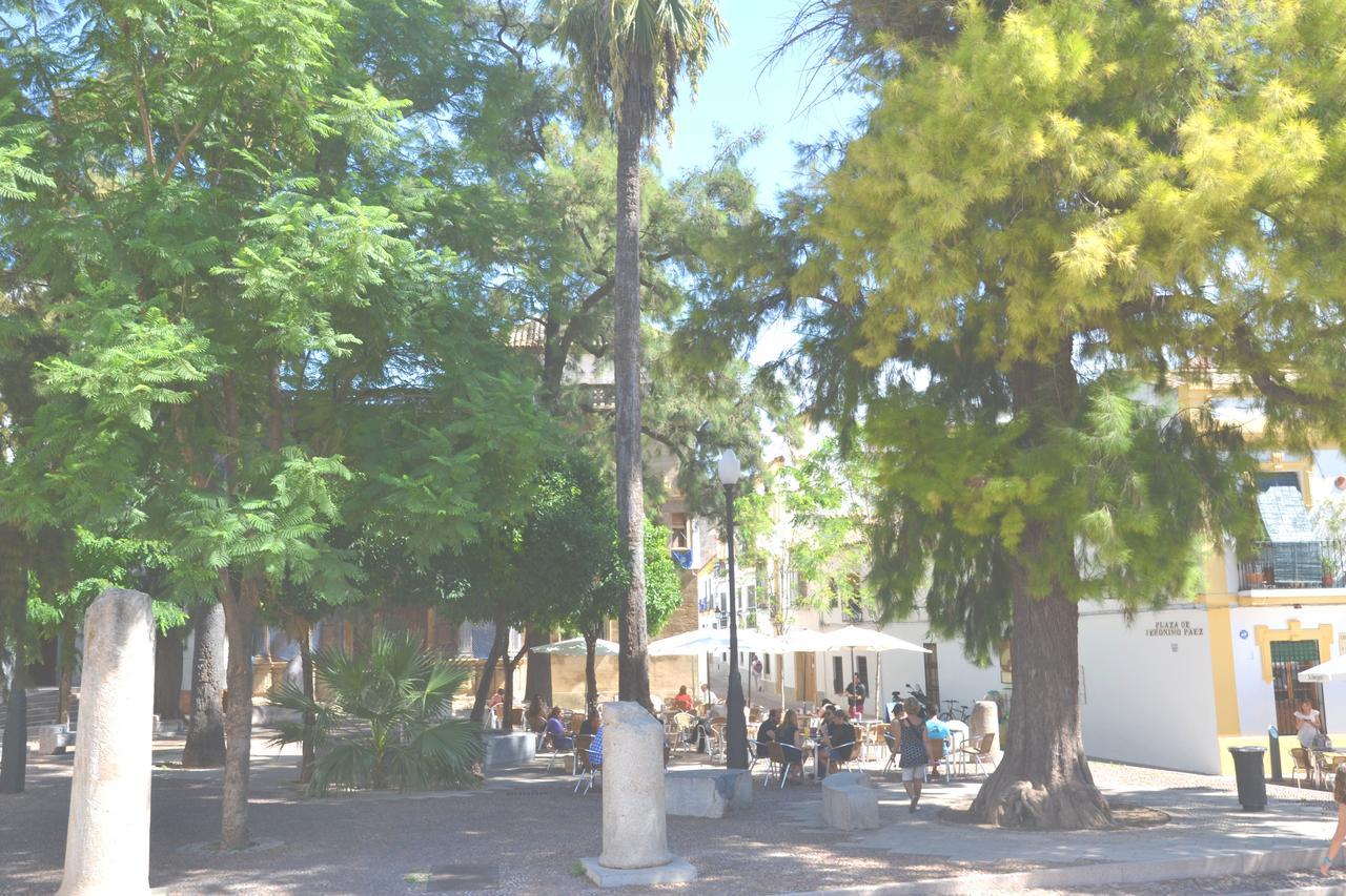 Apartaluz Centro Córdoba Arqueologico Balcon Exterior foto